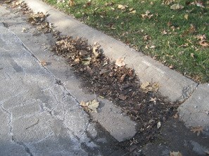 apartment parking lot leaves build up